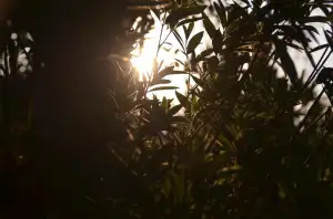 Kdy Se Platí Daň Z Příjmu